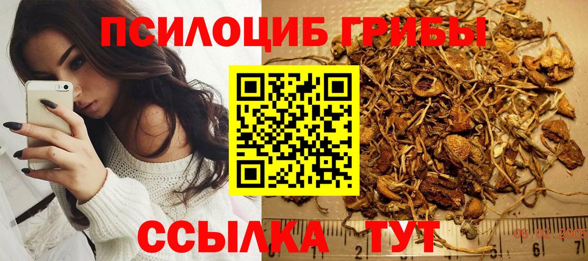 Псилоцибиновые грибы Psilocybe  Вход с VPN  даркнет сайт  Удомля 